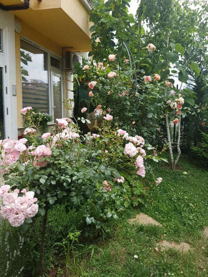 נסבר Guesthouse Zanier מראה חיצוני תמונה